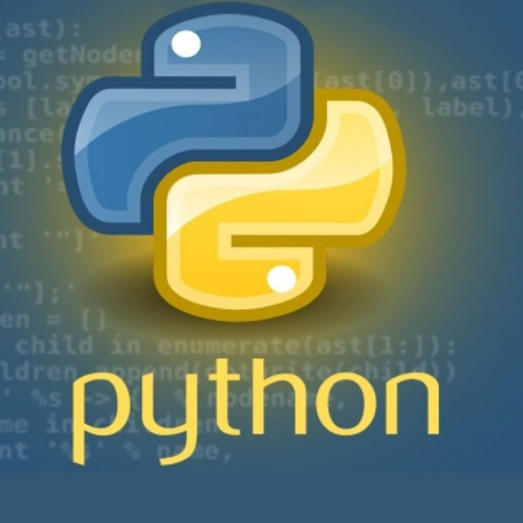 Python